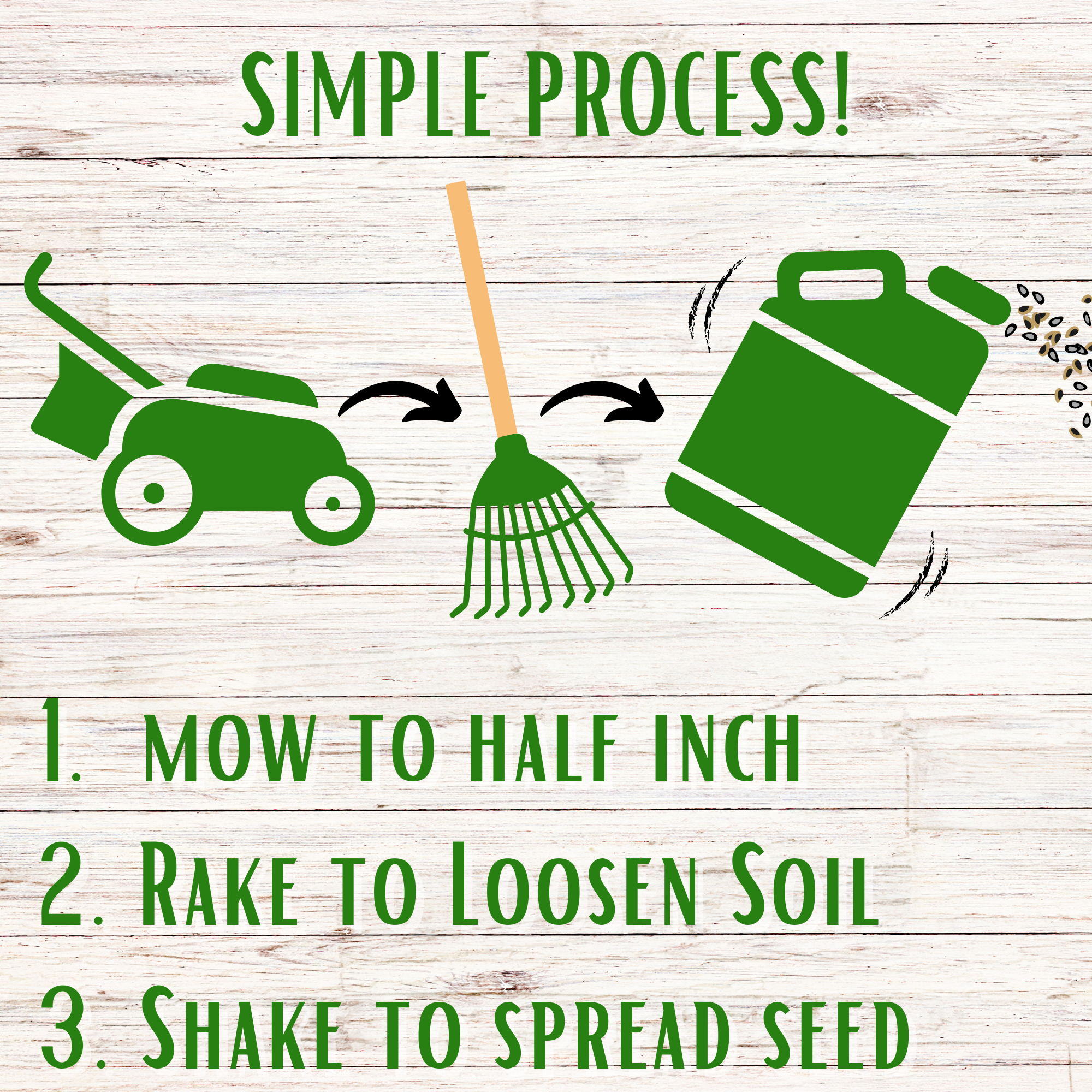 Bee Lawn Seed Kit - Easy Spread Shaker