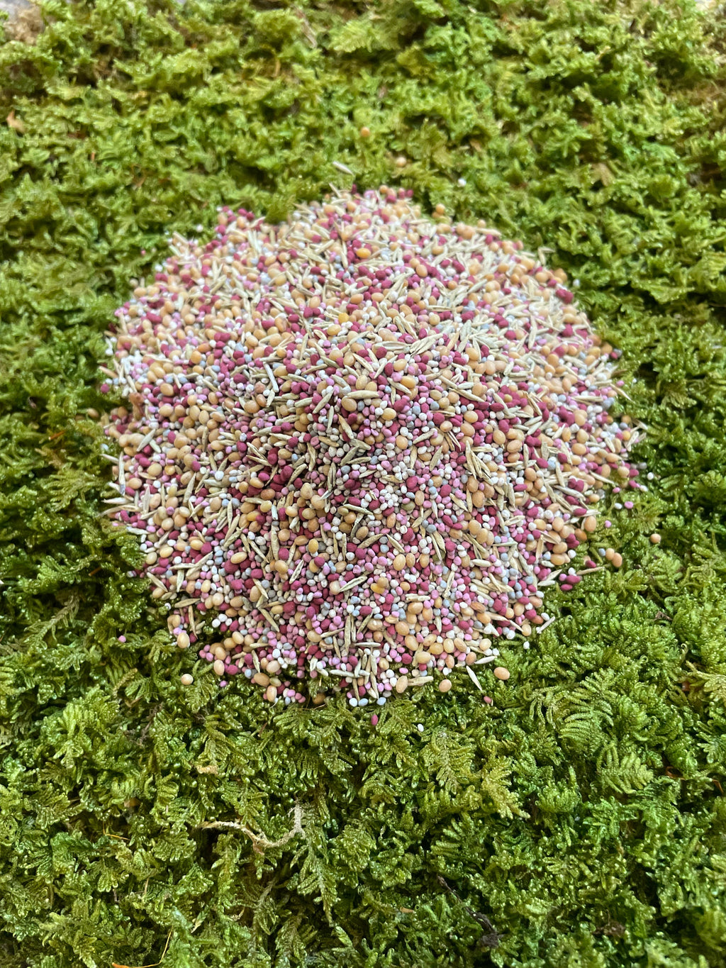 No-Mow Clover Lawn Mix