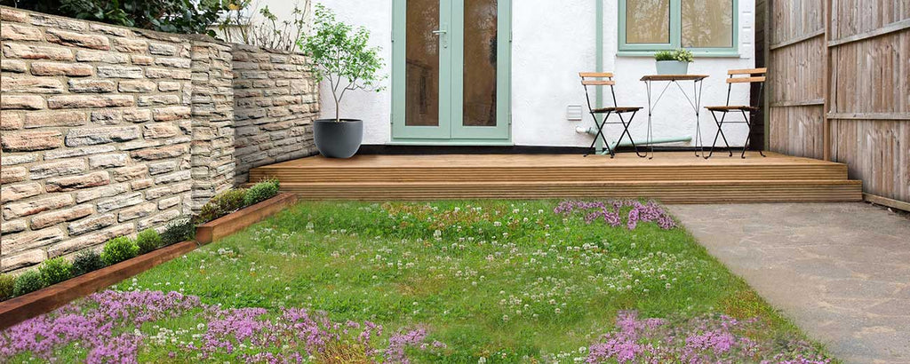 No-Mow Clover Lawn Mix