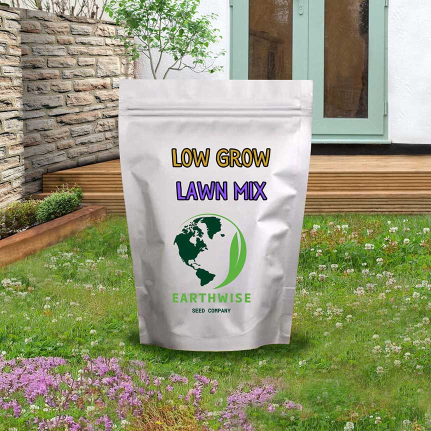 Low Grow™ No-Mow Lawn Mix – Clover & Low-Maintenance Grass Alternative
