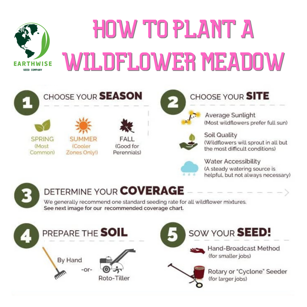Lone Star Native Seed Mix
