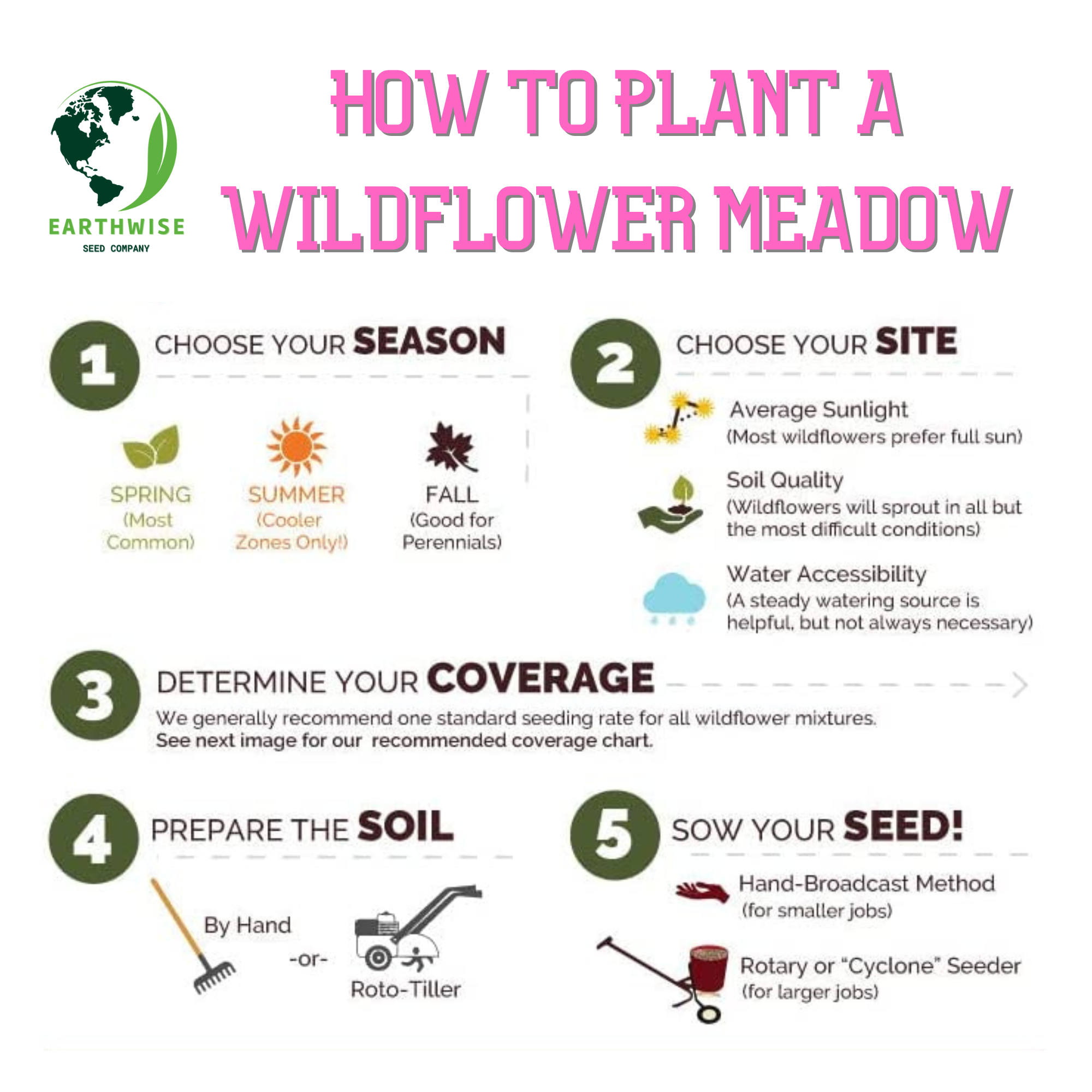 Lone Star Native Wildflower Mix – True Texas Wildflowers & Prairie Grasses