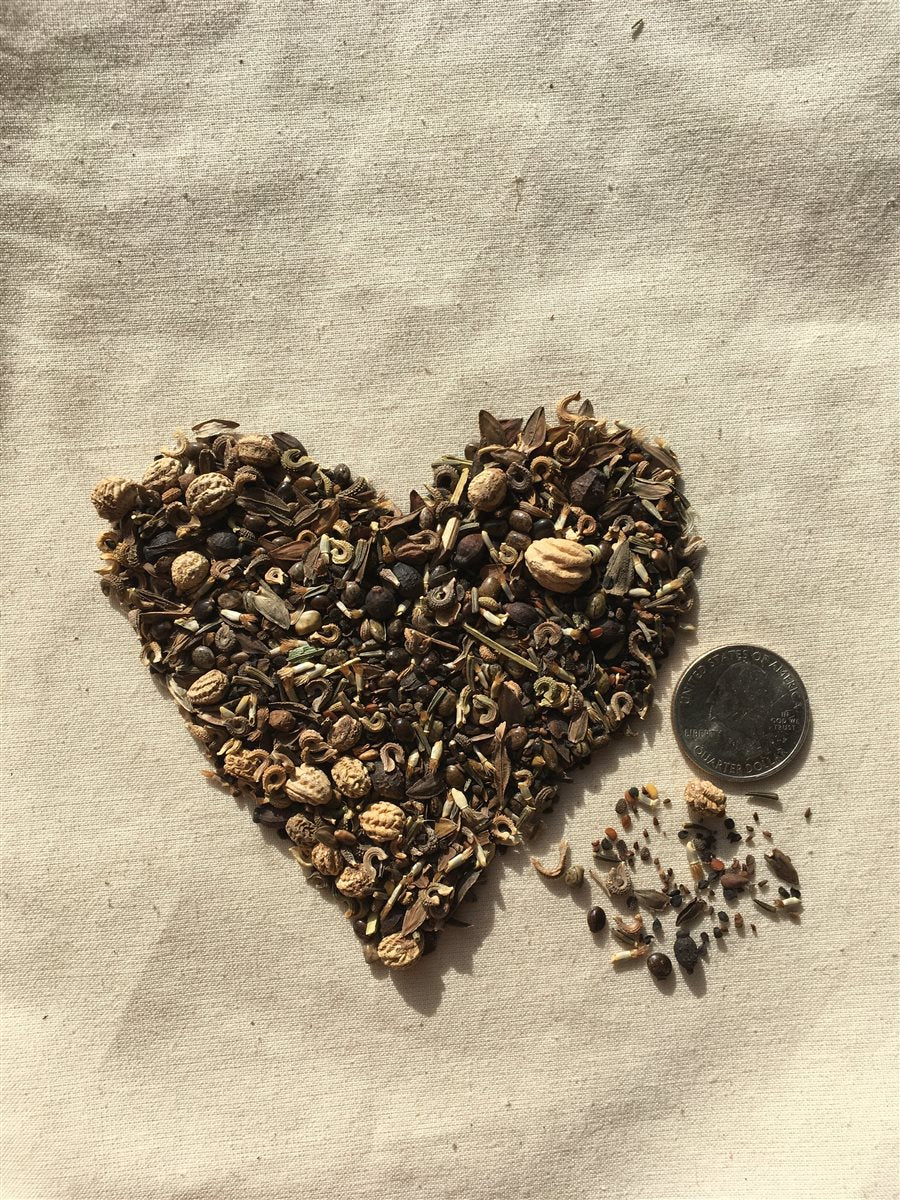 Hummingbird Haven Wildflower Mix – 22-Species Nectar-Rich Seed Blend