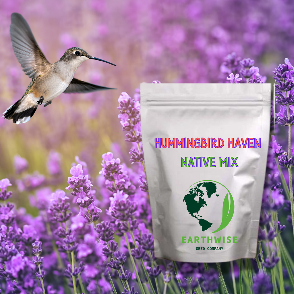 Hummingbird Haven Seed Mix
