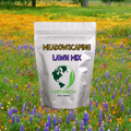 Meadowscaping Lawn Seed Mix
