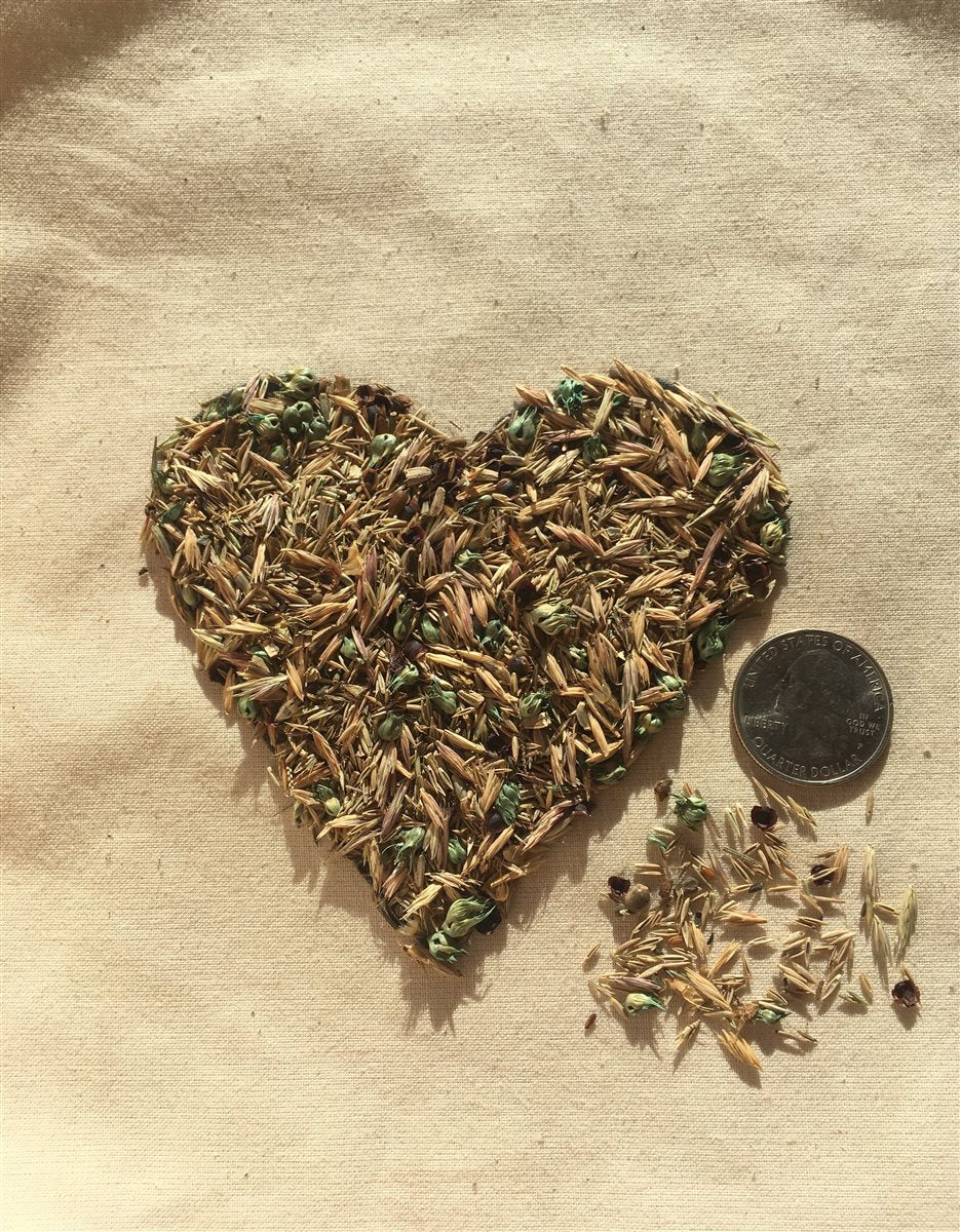 Meadowscaping Mix | Low-Maintenance Eco-Friendly Alternative Lawn Seed