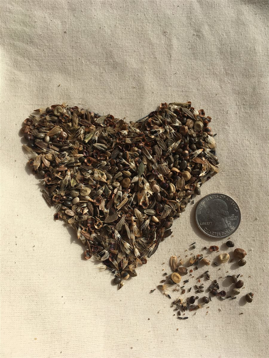 No Deer Here Seed Mix