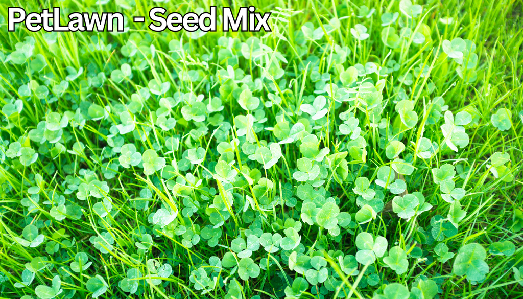 PetLawn™ Pet-Safe Lawn Mix