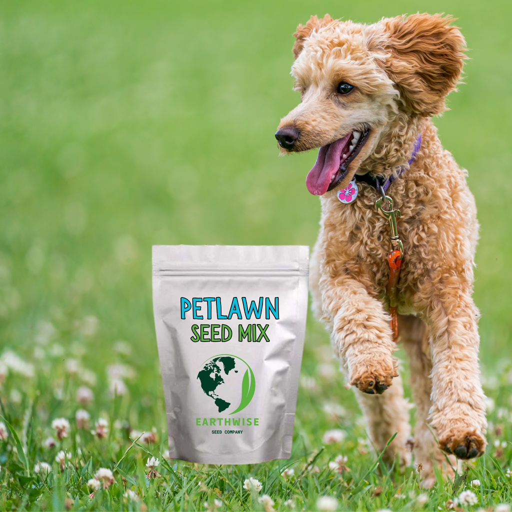 PetLawn™ Pet-Safe Lawn Mix
