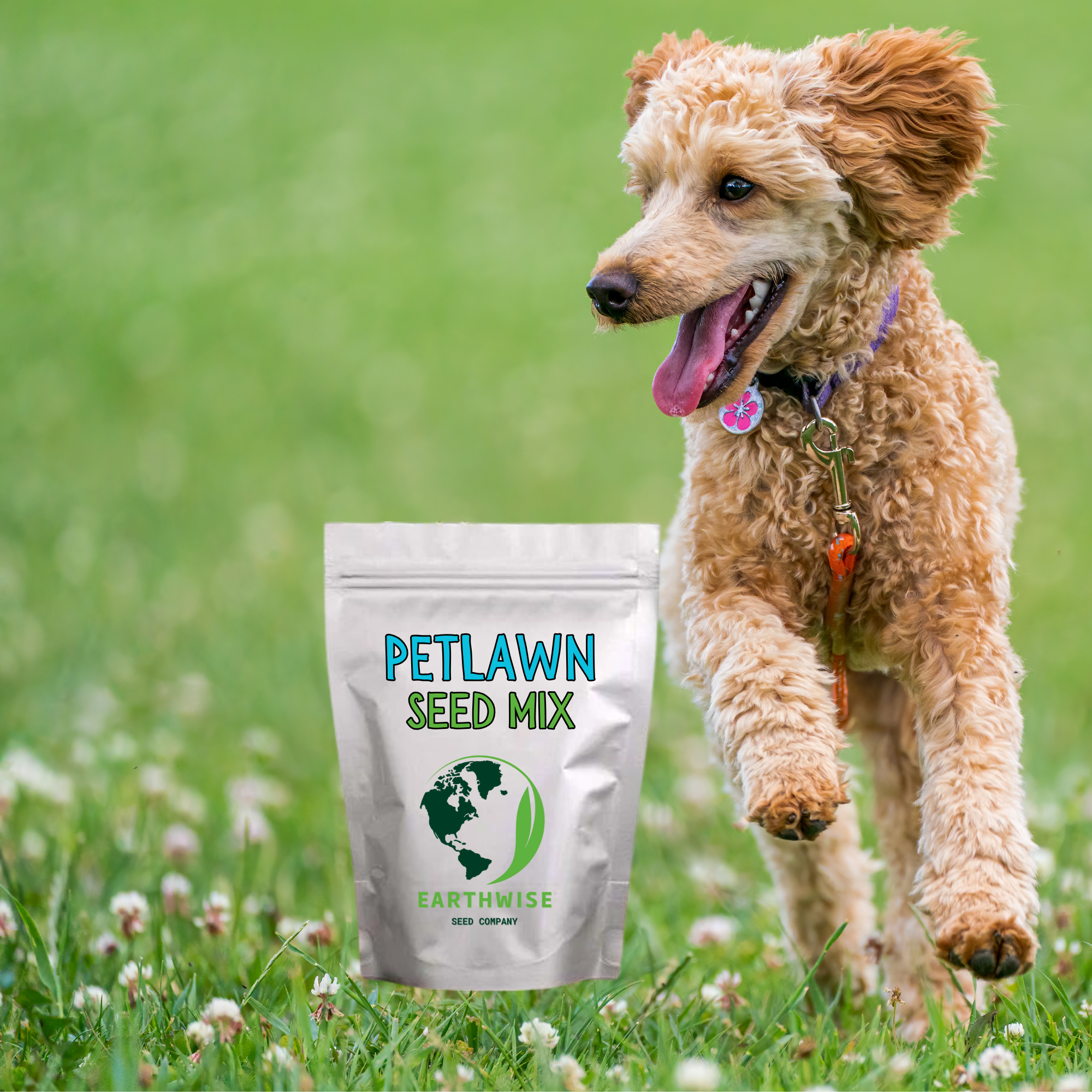 PetLawn™ Pet-Safe Lawn Mix